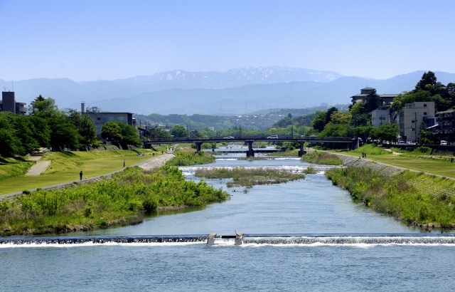 夏には青々とした景色が広がる