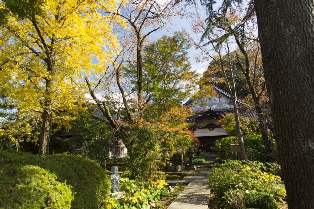 西養寺（釈迦出山図）