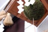 毎年11月中旬に掛け替えられる軒先の杉玉