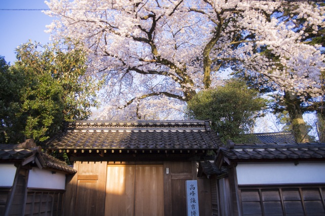 願念寺