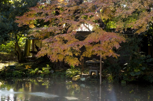 松風閣庭園の秋の紅葉も美しい