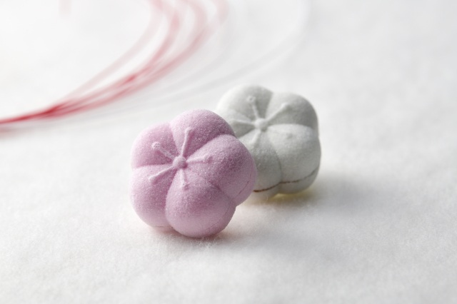【福梅】冬限定・甘さ控えめ金沢の正月菓子