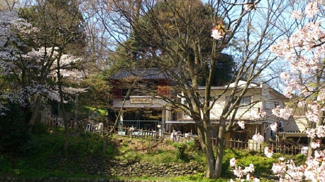 春のお花見シーズン大手彫り