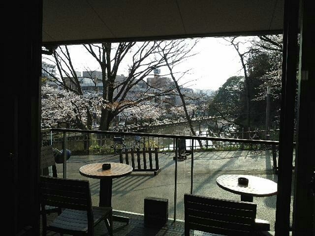 店内１階席からの花見風景