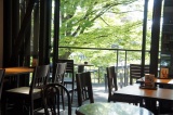 夏の深緑店内１階席より