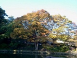 秋の紅葉シーズン大手彫り