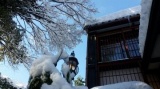 冬の雪景色店舗