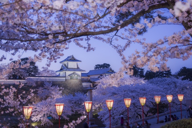 金沢城・兼六園四季物語（観桜期）