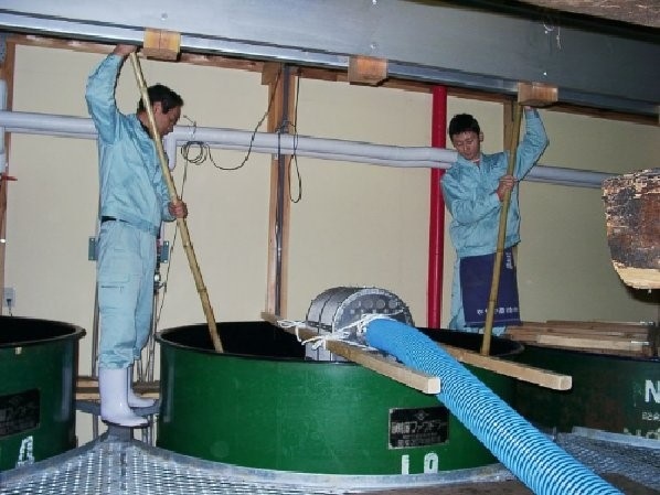もろみ櫂突き作業