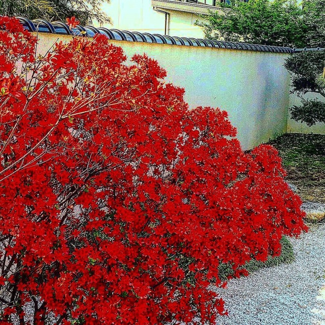 庭園(願掛け十二支の庭）