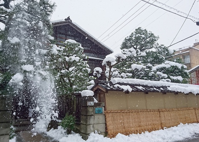 冬には土塀に「こも」が掛かります