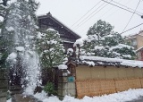 冬には土塀に「こも」が掛かります