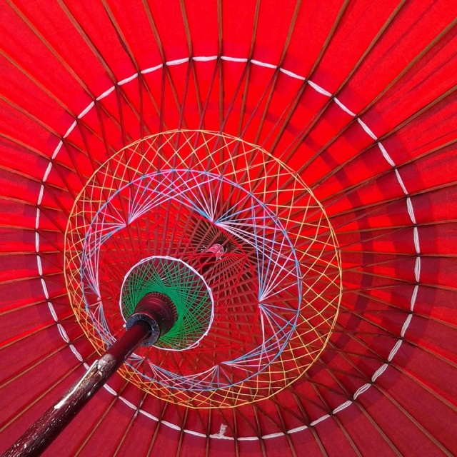 和傘の内なる世界千鳥かけは傘をさしてみないとわからない世界で