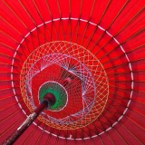 和傘の内なる世界千鳥かけは傘をさしてみないとわからない世界で