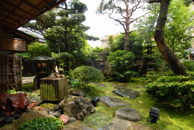 庭