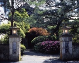 つつじが咲き誇る正面玄関