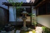 坪庭の緑で