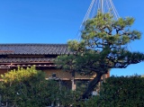 四季を感じる庭