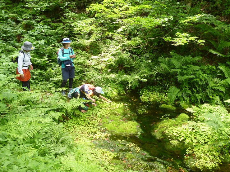 オプションの金沢の自然を楽しむ森林浴ツアー