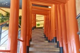鳥居の中程